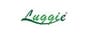 Luggie Laadstations & Acculaders