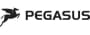 Pegasus Elektrische fiets accu's